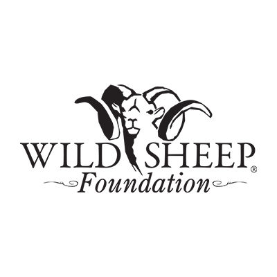 Wild Sheep Foundation